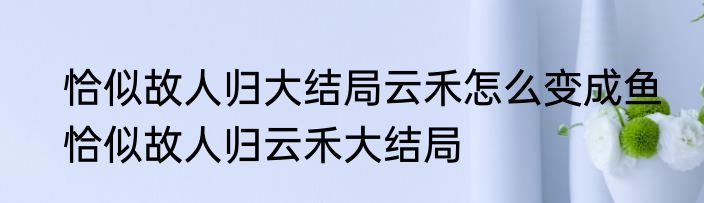 恰似故人归大结局云禾怎么变成鱼　恰似故人归云禾大结局