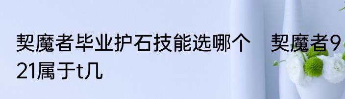 契魔者毕业护石技能选哪个　契魔者921属于t几