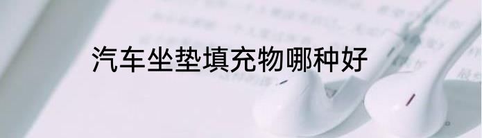 汽车坐垫填充物哪种好