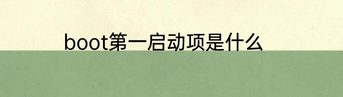 boot第一启动项是什么