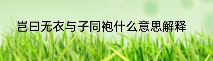 岂曰无衣与子同袍什么意思解释