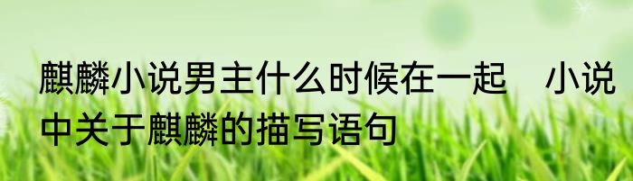 麒麟小说男主什么时候在一起　小说中关于麒麟的描写语句