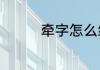 牵字怎么组词　牵组词语