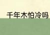 千年木怕冷吗　千年木哪种品相好