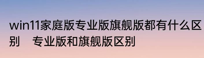 win11家庭版专业版旗舰版都有什么区别　专业版和旗舰版区别