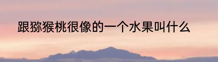 跟猕猴桃很像的一个水果叫什么