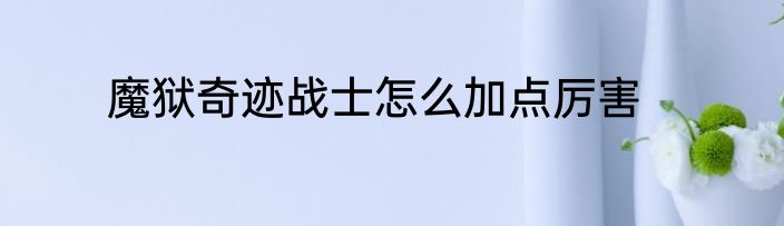 魔狱奇迹战士怎么加点厉害