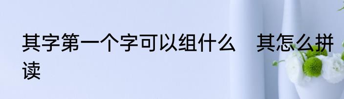 其字第一个字可以组什么　其怎么拼读