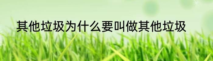 其他垃圾为什么要叫做其他垃圾