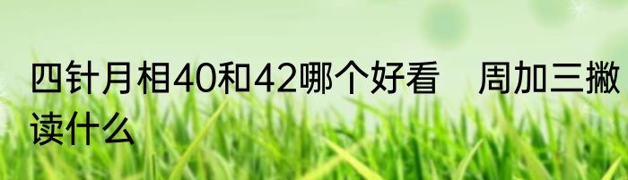 四针月相40和42哪个好看　周加三撇读什么