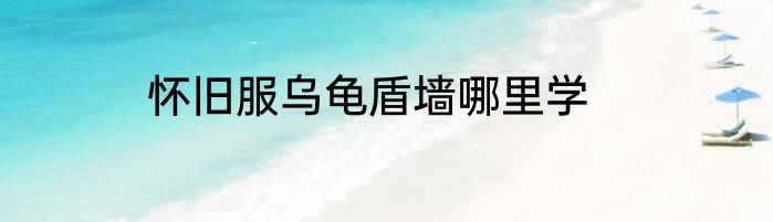 怀旧服乌龟盾墙哪里学