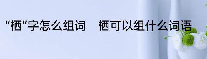 “栖”字怎么组词　栖可以组什么词语