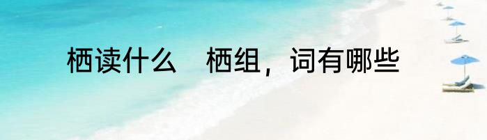 栖读什么　栖组，词有哪些