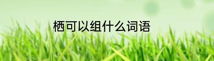 栖可以组什么词语