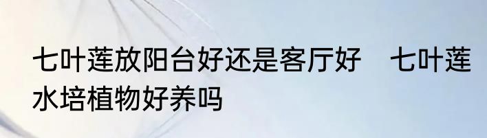 七叶莲放阳台好还是客厅好　七叶莲水培植物好养吗