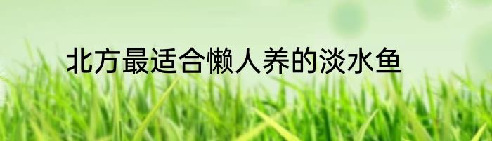 北方最适合懒人养的淡水鱼