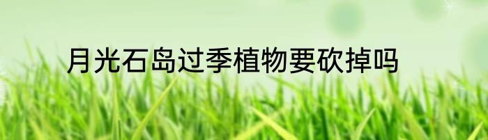 月光石岛过季植物要砍掉吗