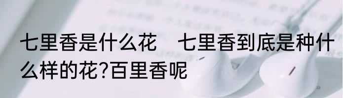 七里香是什么花　七里香到底是种什么样的花?百里香呢