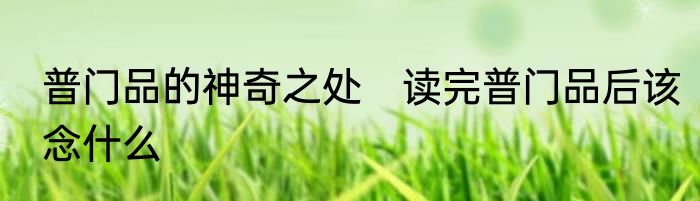 普门品的神奇之处　读完普门品后该念什么