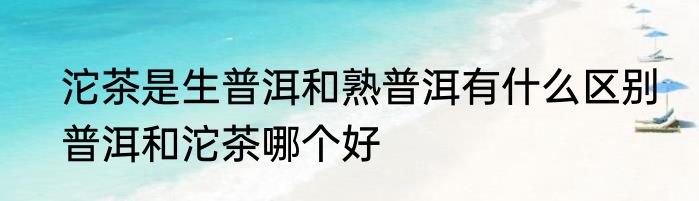 沱茶是生普洱和熟普洱有什么区别　普洱和沱茶哪个好