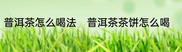 普洱茶怎么喝法　普洱茶茶饼怎么喝