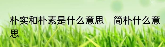 朴实和朴素是什么意思　简朴什么意思