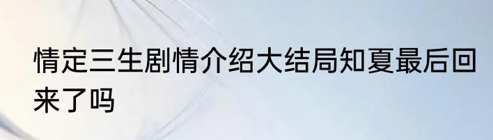 情定三生剧情介绍大结局知夏最后回来了吗