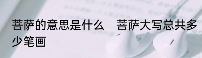 菩萨的意思是什么　菩萨大写总共多少笔画