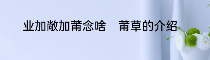 业加敞加莆念啥　莆草的介绍
