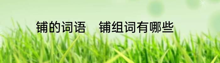 铺的词语　铺组词有哪些