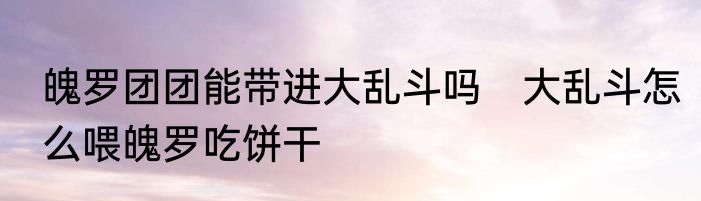 魄罗团团能带进大乱斗吗　大乱斗怎么喂魄罗吃饼干