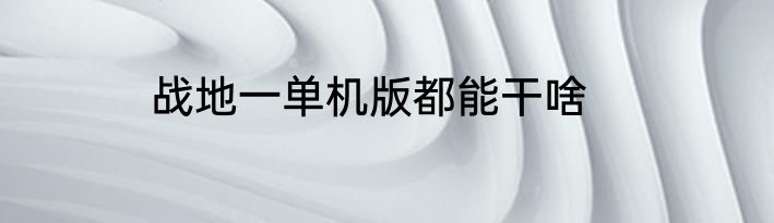 战地一单机版都能干啥