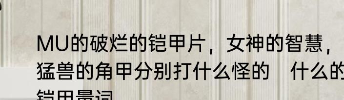 MU的破烂的铠甲片，女神的智慧，猛兽的角甲分别打什么怪的　什么的铠甲量词