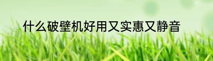 什么破壁机好用又实惠又静音