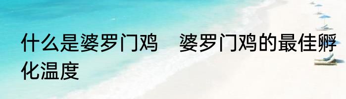 什么是婆罗门鸡　婆罗门鸡的最佳孵化温度