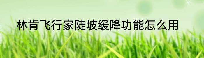 林肯飞行家陡坡缓降功能怎么用