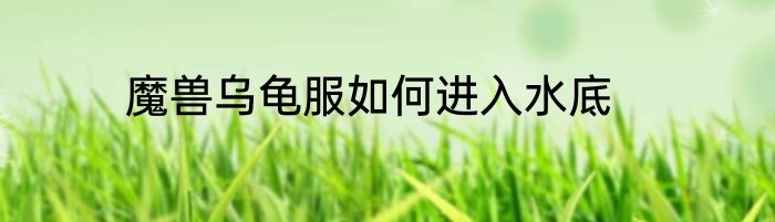 魔兽乌龟服如何进入水底