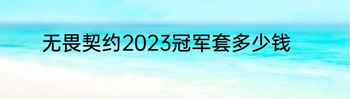 无畏契约2023冠军套多少钱
