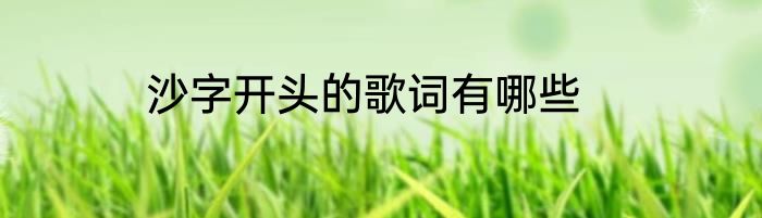 沙字开头的歌词有哪些