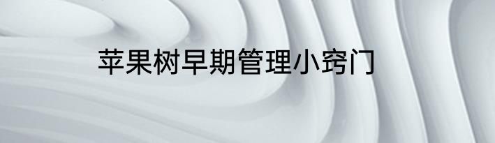 苹果树早期管理小窍门