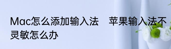 Mac怎么添加输入法　苹果输入法不灵敏怎么办