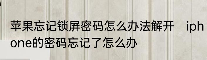 苹果忘记锁屏密码怎么办法解开　iphone的密码忘记了怎么办