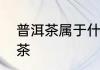普洱茶属于什么茶　普洱茶属于什么茶