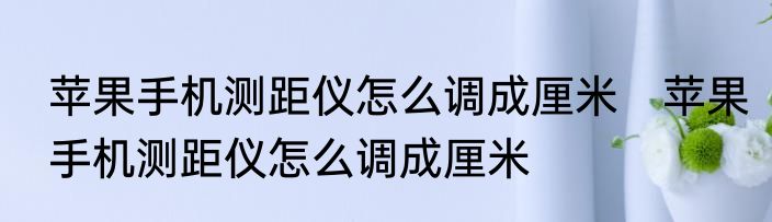 苹果手机测距仪怎么调成厘米　苹果手机测距仪怎么调成厘米