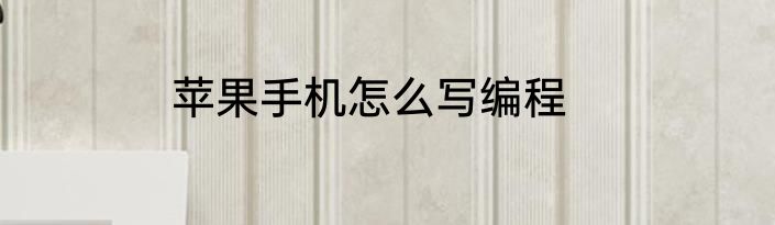 苹果手机怎么写编程