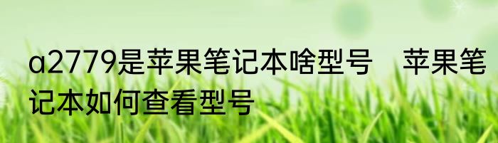a2779是苹果笔记本啥型号　苹果笔记本如何查看型号