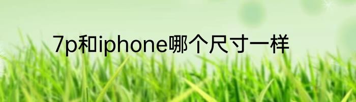 7p和iphone哪个尺寸一样