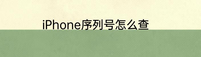 iPhone序列号怎么查