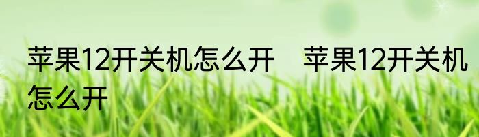 苹果12开关机怎么开　苹果12开关机怎么开