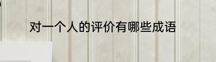 对一个人的评价有哪些成语